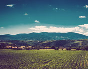 CC在线压力测试