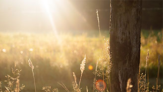 服务器攻击软件